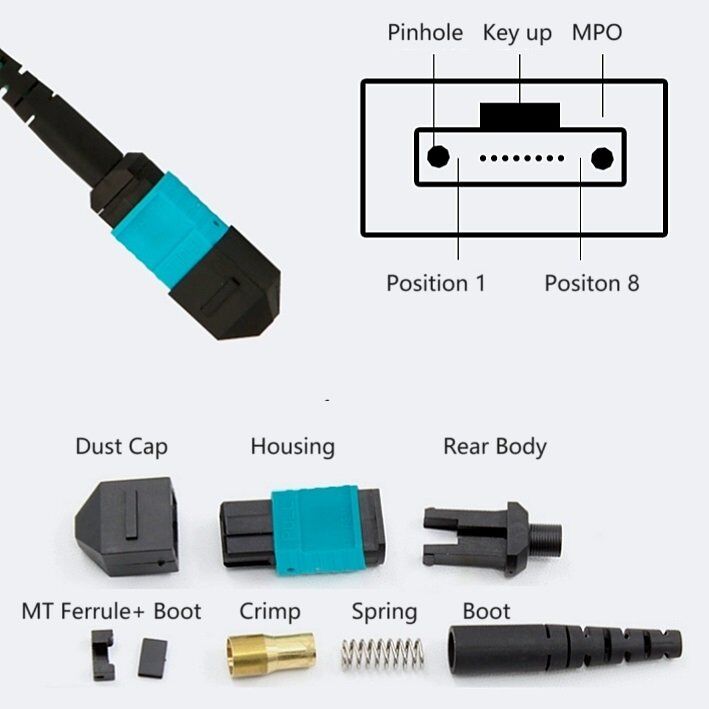 Componentes MPO Estructura del conector MPO